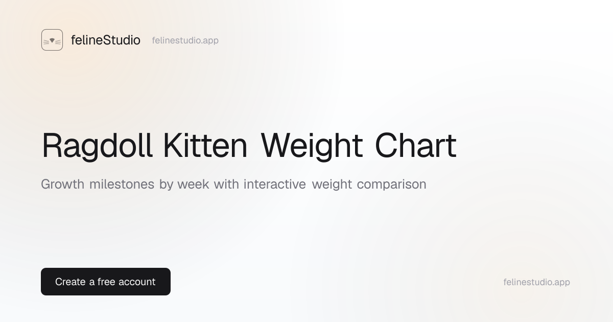 Ragdoll Weight Chart — Kitten to Adult Growth by Age | felineStudio